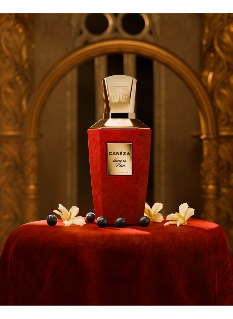 Canéza Rose on Fire Eau de Parfum for Women - Seductive Floral Leather Scent with Blackcurrant, Velvet Rose & Vanilla Musk | Elegant Long-Lasting Fragrance | 100ML - Image 4