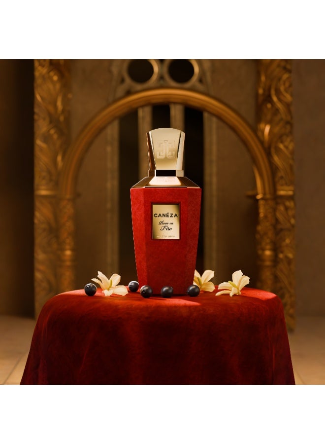 Canéza Rose on Fire Eau de Parfum for Women - Seductive Floral Leather Scent with Blackcurrant, Velvet Rose & Vanilla Musk | Elegant Long-Lasting Fragrance | 100ML - Image 2