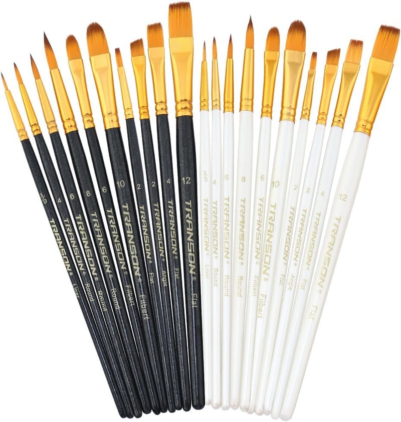 TRANSON 20pcs Artist Painting Brush Set for Acrylic Watercolor Gouache Hobby Craft Face Rock Painting Black and White Color - Image 1
