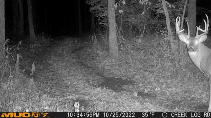 Muddy Manifest Cellular Camera with SD Card - ATT - Image 3