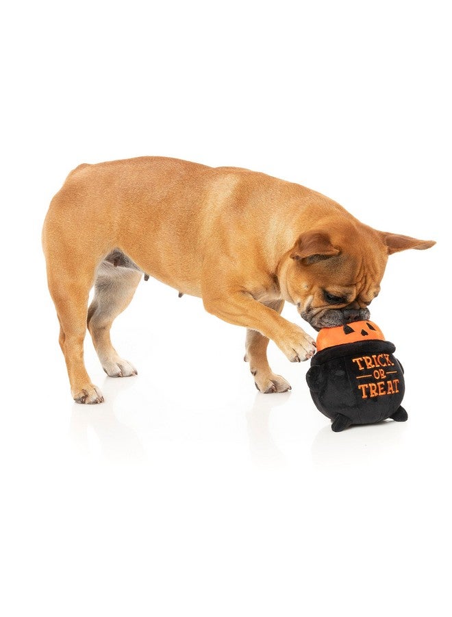 FuzzYard Trick Or Treat Halloween Pumpkin In Cauldron Plush Dog Toy For All Breed Sizes - Image 5