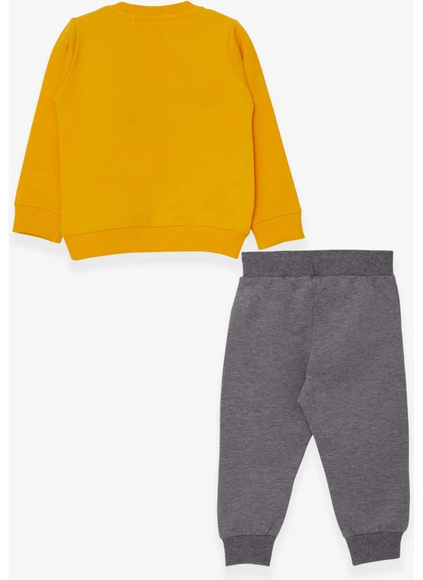 بريز Boys Tracksuit Set Yellow with Bear Figure (1-4 Ages)
