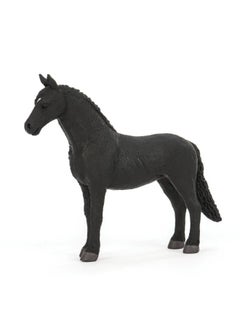 Lsn Terra Friesian