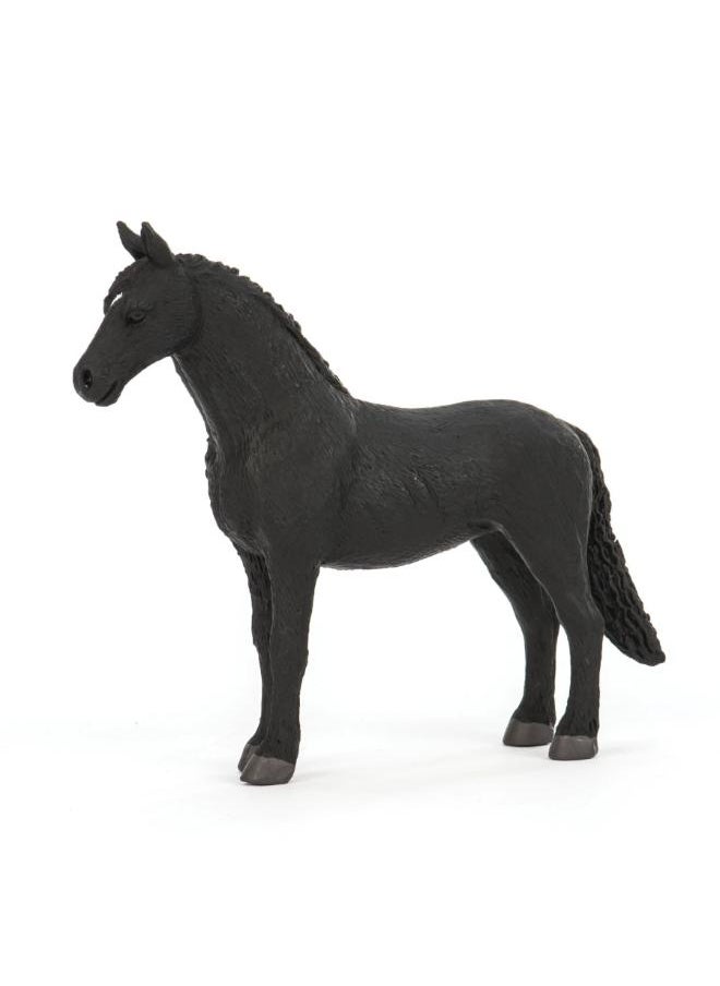 Terra - Lsn Terra Friesian - Image 1