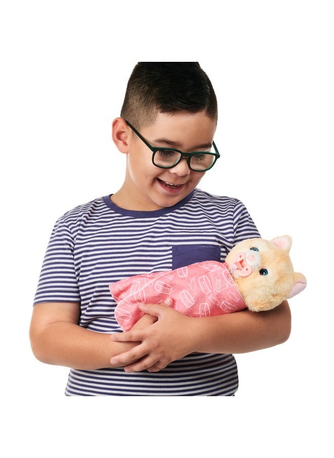 LITTLE LIVE PETS - Cozy Dozys: Ginger The Kitty | Interactive Plush Toy Kitty. 25+ Sounds And Reactions. Magical Eye Movement. Blanket Pacifier And Batteries Included. For Kids Ages 4+ - Image 1