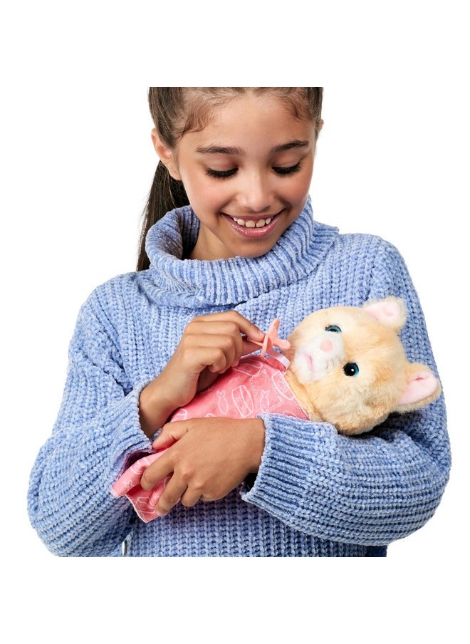 LITTLE LIVE PETS - Cozy Dozys: Ginger The Kitty | Interactive Plush Toy Kitty. 25+ Sounds And Reactions. Magical Eye Movement. Blanket Pacifier And Batteries Included. For Kids Ages 4+ - Image 1