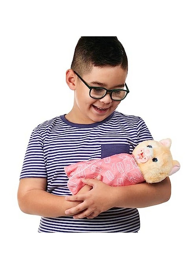LITTLE LIVE PETS - Cozy Dozys: Ginger The Kitty | Interactive Plush Toy Kitty. 25+ Sounds And Reactions. Magical Eye Movement. Blanket Pacifier And Batteries Included. For Kids Ages 4+ - Image 1