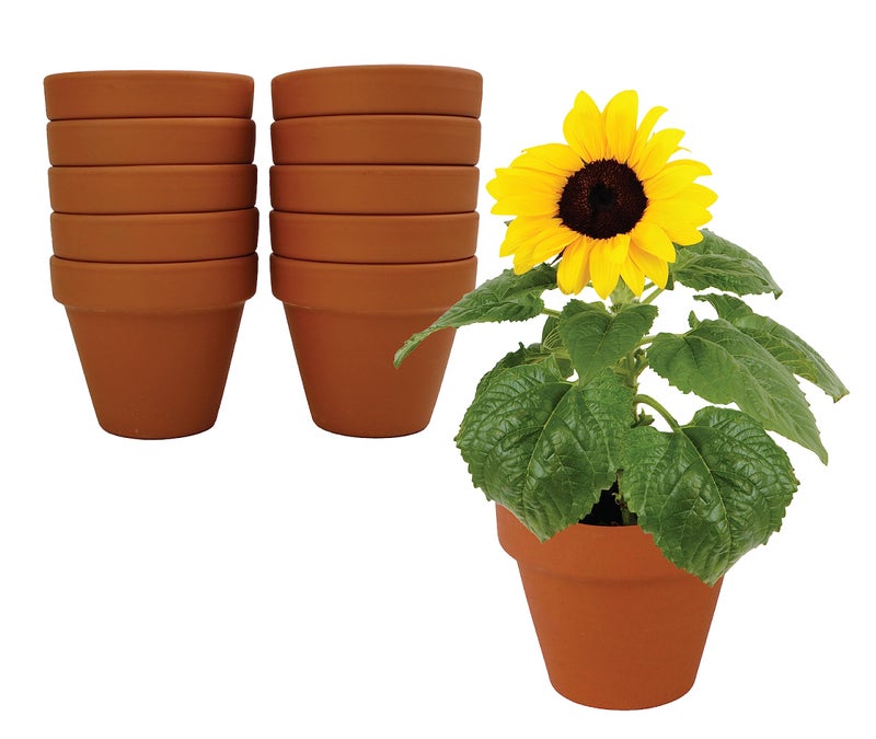 BUZZY Seeds Sunflower Starter Kit Bulk 10 Pack â€“ 3inch Terracotta Pots, Soil Pellets, Flower Seeds for DIY Craft Projects, Favors, and Seed Starting - Image 2