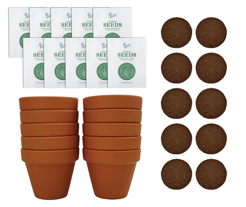 BUZZY Seeds Sunflower Starter Kit Bulk 10 Pack â€“ 3inch Terracotta Pots, Soil Pellets, Flower Seeds for DIY Craft Projects, Favors, and Seed Starting - Image 1