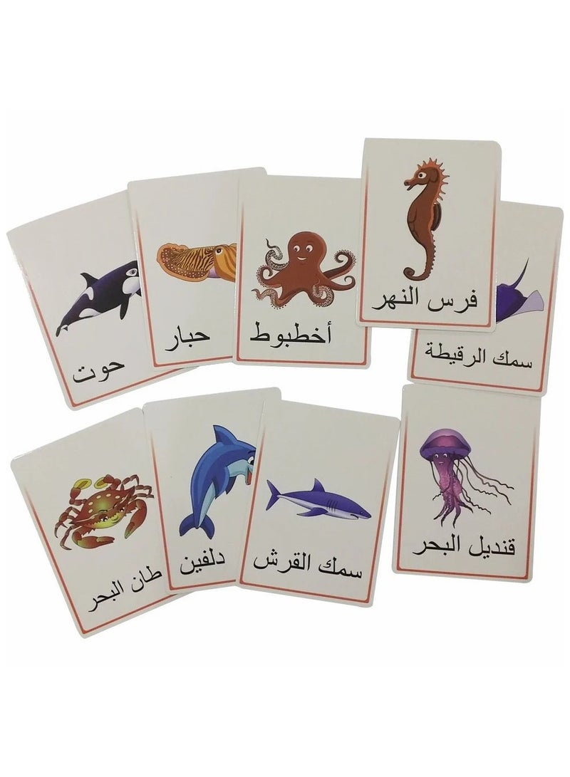 Educational Flashcards for Kids - Sea Creatures - Image 1