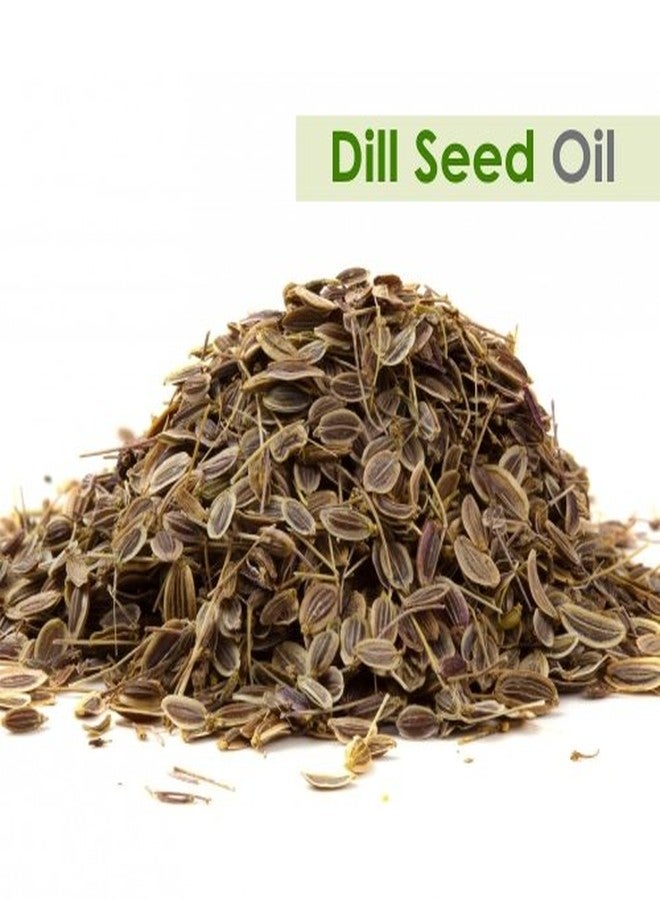سالفيا زيت بذور الشبت (Anethum Graveolens) | زيت عطري نقي وطبيعي 100% غير مخفف - 15 مل - Image 2