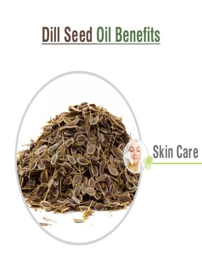 سالفيا زيت بذور الشبت (Anethum Graveolens) | زيت عطري نقي وطبيعي 100% غير مخفف - 15 مل - Image 3