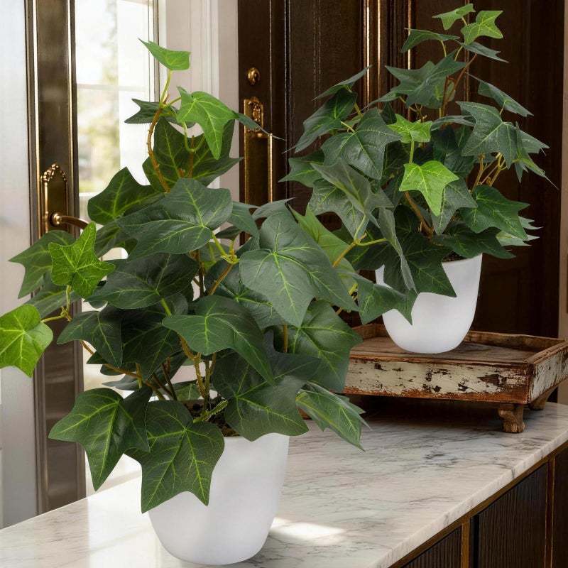alyptus Fake English Ivy Plants in Pots Set of 2 â€“ Realistic Artificial Ivy Greenery for Home Decor, Tabletop, Office, Shelf, Balcony or Bathroom - Green with White Pots - Image 1
