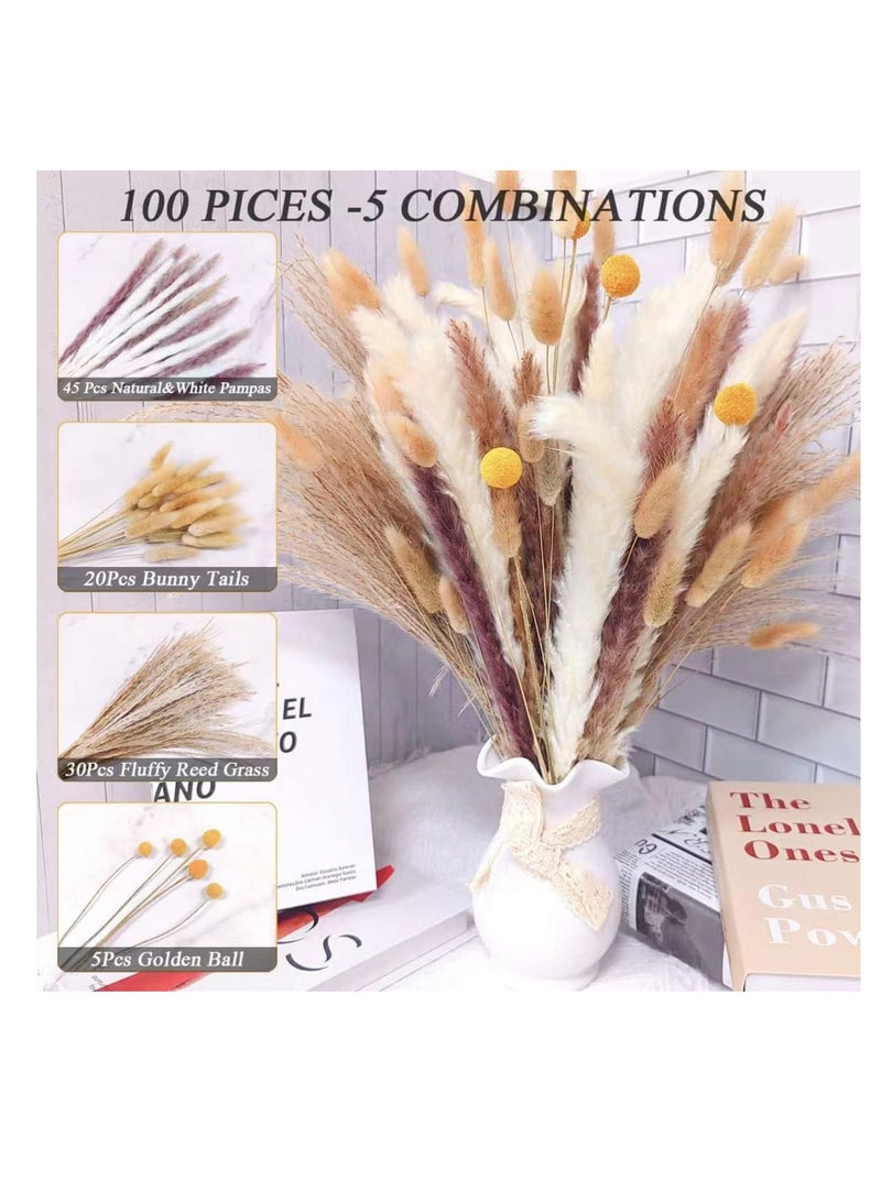 Excefore Natural Dried Pampas Grass, Boho Decor Fluffy White Pompous Grass Large Reed Bunny Tail Wheat Stalk Decorative Plumes Italian Ruscus Solidago Goldenrod Flower Bouquet - Image 1