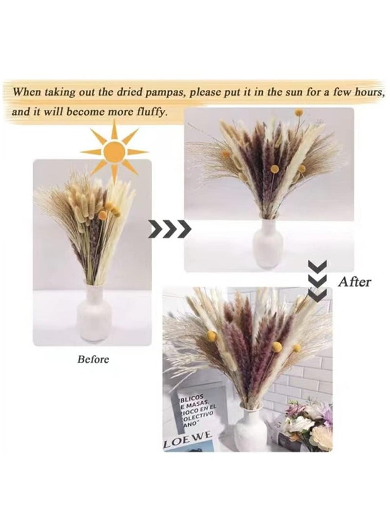 Excefore Natural Dried Pampas Grass, Boho Decor Fluffy White Pompous Grass Large Reed Bunny Tail Wheat Stalk Decorative Plumes Italian Ruscus Solidago Goldenrod Flower Bouquet - Image 5