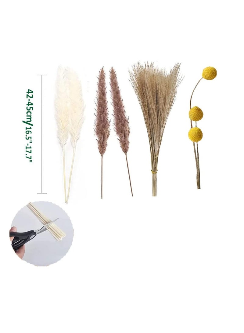 Excefore Natural Dried Pampas Grass, Boho Decor Fluffy White Pompous Grass Large Reed Bunny Tail Wheat Stalk Decorative Plumes Italian Ruscus Solidago Goldenrod Flower Bouquet - Image 4