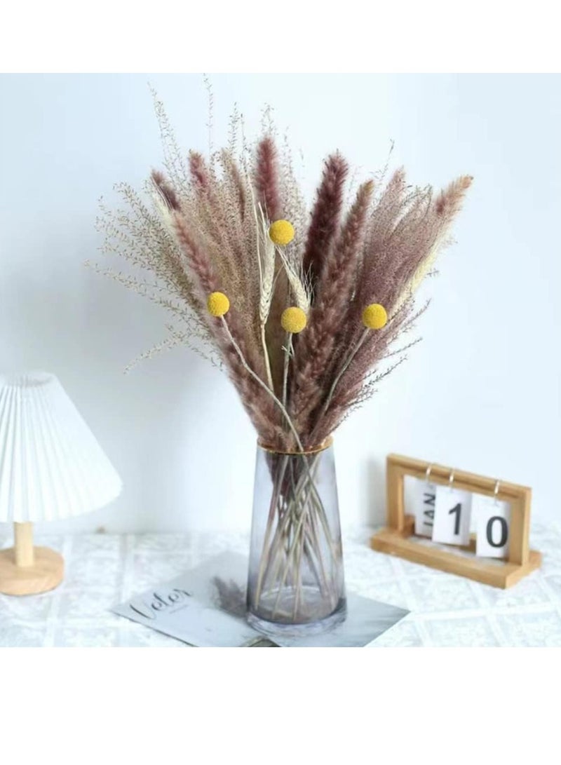 Excefore Natural Dried Pampas Grass, Boho Decor Fluffy White Pompous Grass Large Reed Bunny Tail Wheat Stalk Decorative Plumes Italian Ruscus Solidago Goldenrod Flower Bouquet - Image 3