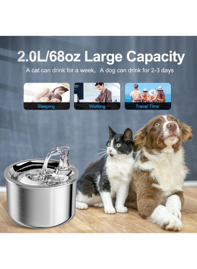 إيونتو نافورة مياه للحيوانات الأليفة من الفولاذ المقاوم للصدأ سعة 2 لتر للقطط والكلاب - نافورة شرب أوتوماتيكية، مضخة صامتة، نظام ترشيح متعدد، موزع مياه آمن للغسل في غسالة الأطباق - Image 3