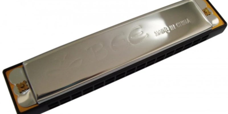 BEE Ls Mo 01 Harmonica 24 Holes, Silver - Image 4