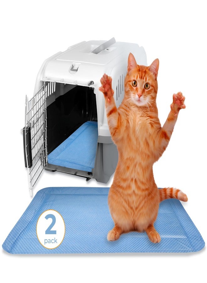 Skywin Pet Carrier Pads, 2 Pack Cat Carrier Pad Insert 19.5" x 12.5", Disposable Small Cat Carrier Liner Pad, Puppy Training Pads(Blue) - Image 1