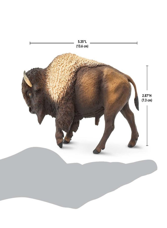 Safari Ltd. North American Bison Figurine - Realistic 5" Wildlife Figurine - Educational Toy for Boys, Girls, and Kids Ages 3+ - Image 3