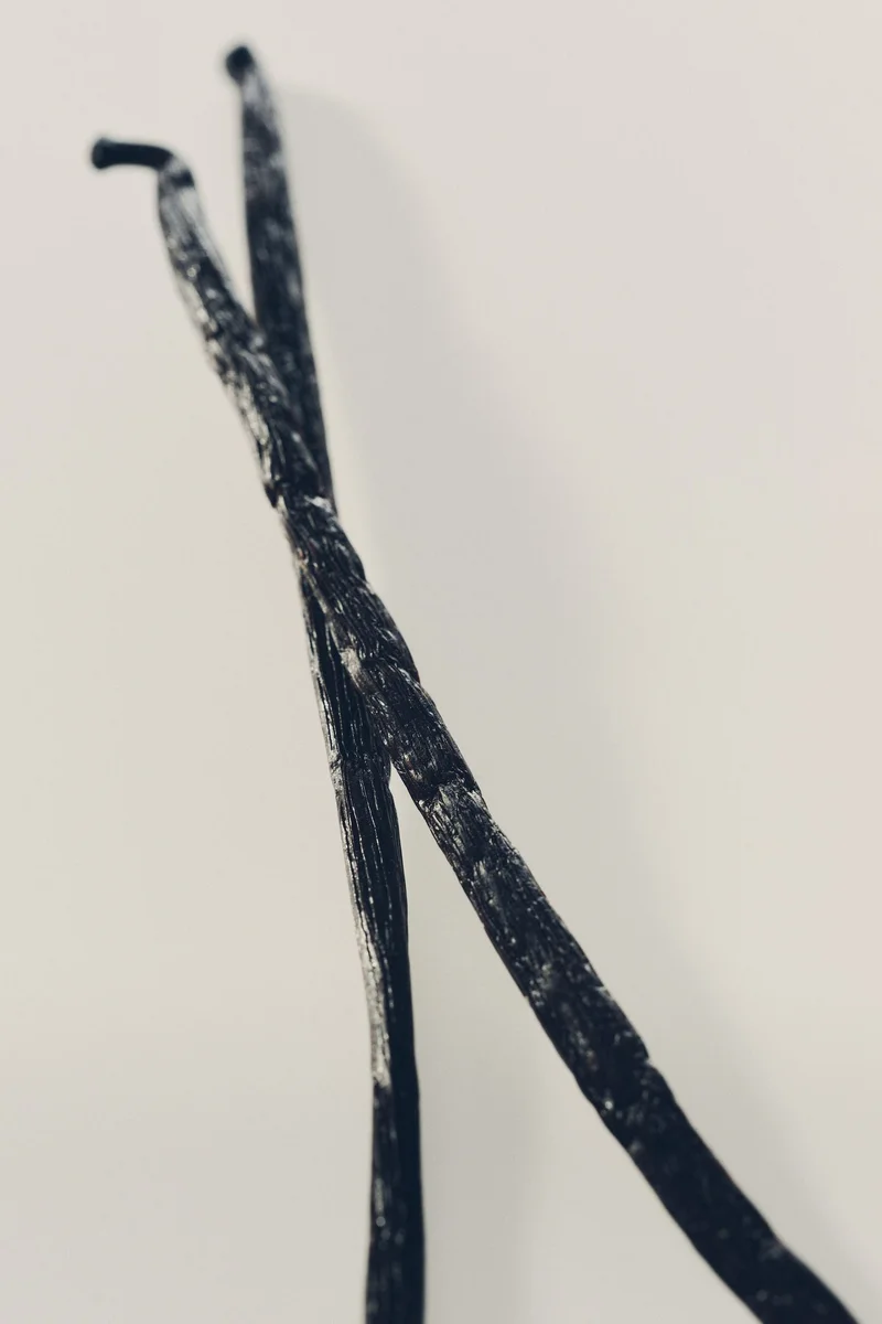 اتش اند ام عطر خفيف سوشال بترفلاي