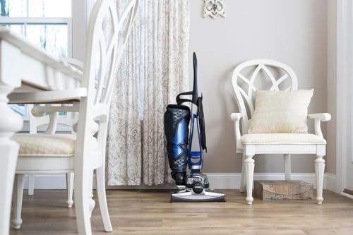 Kirby Shampoo & Stain Carpet Shampoo-Rug Remover & Odor Eliminator, Smell Neutralizer Solution-Remove Dog and Cat Stains, 32oz, Packing may Vary - Image 3