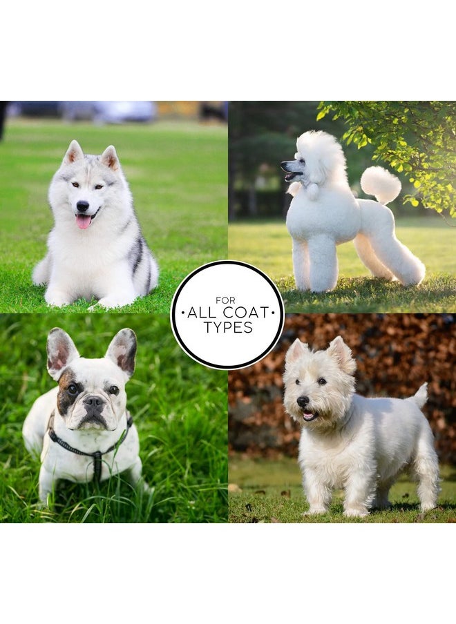 Chris Christensen White On White Whitening Treatment Dog Shampoo, Groom Like A Professional, Brightens White, Safely Removes Yellow & Other Stains, All Coat Types, Made In Usa, 16 Oz.  - Image 5