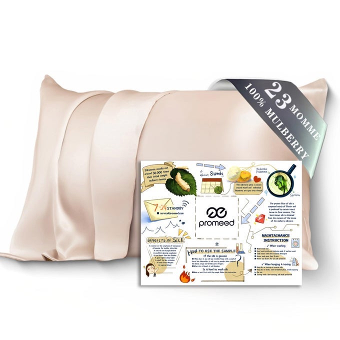 100 SILK PILLOWCASE FOR HAIR AND SKIN BOTH SIDES GRADE 6A 23MM MULBERRY SILK PILLOW CASE WITH HIDDEN ZIPPER 1400 TC SOFT SMOOTH QUEEN 20X30 CHAMPAGNE