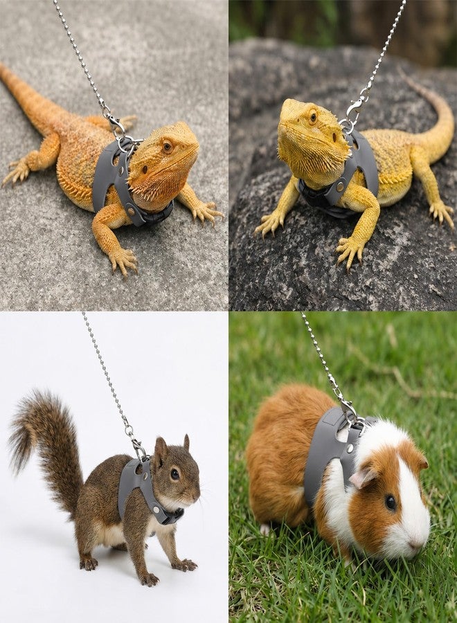Xosjska 3 Pack Bearded Dragon Leash and Harness Set - Image 4