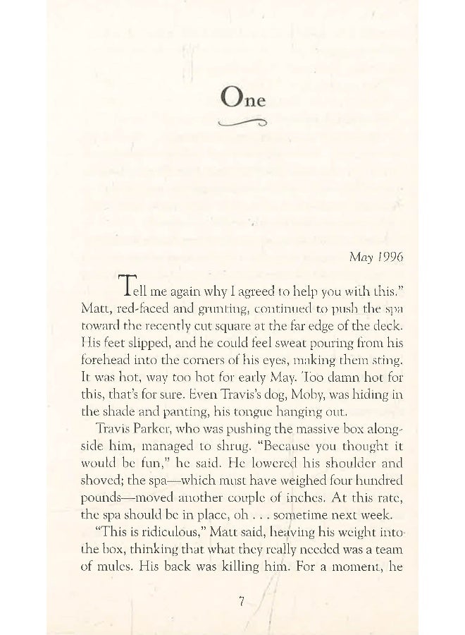 The Choice - Image 3