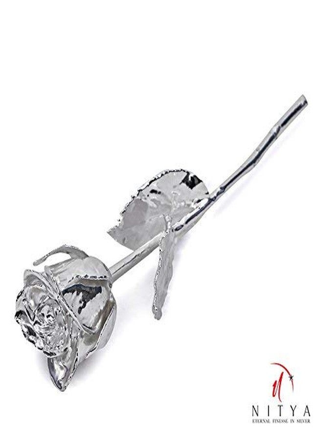 Lavanaya Silver Plated Nitya Natural Rose 6 Inches with Velvet Box - Image 2