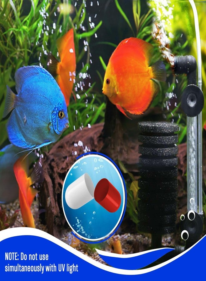 Beseder Bio Capsules Fish Tank Cleaner (2) - Image 5