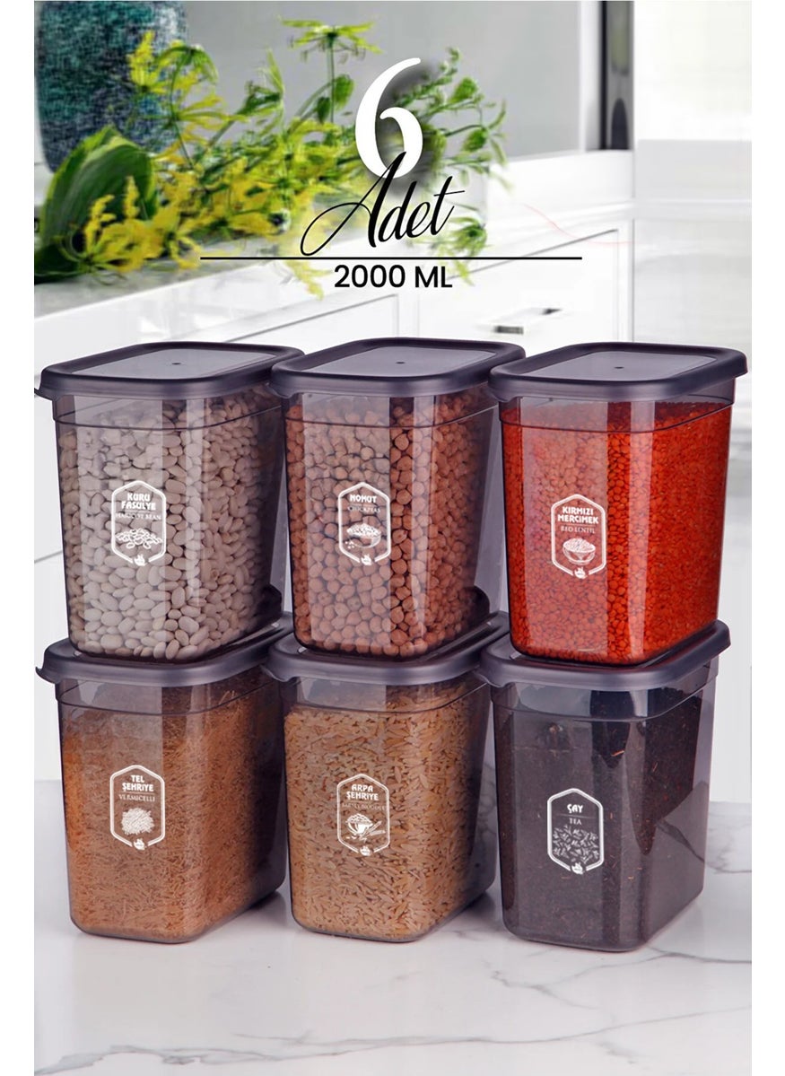 6-Piece Labeled Moly Rectangular Food Storage Container Set 2000ML - Multi-Made Set 2 Liters with Lid - pzsku/Z418896CAC8A68A39702DZ/45/_/1726144780/535d99f4-b703-49ad-b99e-2e2ce431ccd6