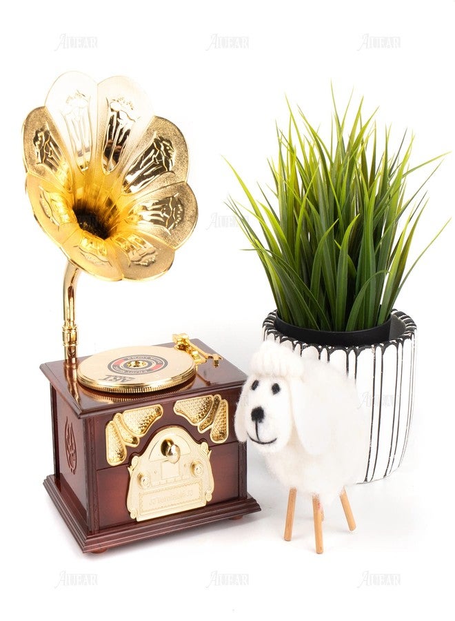 AUEAR, Classical Gramophone Music Box Clockwork Brown for Home Table Desk Decorations - Image 5