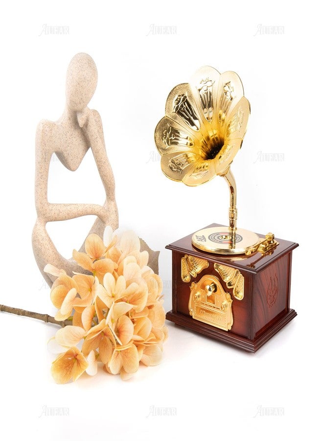 AUEAR, Classical Gramophone Music Box Clockwork Brown for Home Table Desk Decorations - Image 4