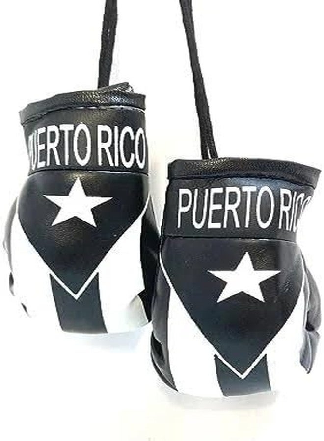 Hendel Set of Puerto Rico Black & White Window Hanging Car Flag, & Puerto Rico Black & White Boxing Glove - Image 3