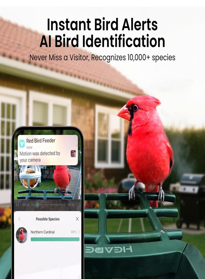 HEAPETS Smart Bird Feeder with Camera Solar Powered- AI-Powered 1080P HD Video, 10,000+ Species Recognition, Real-Time App Alerts, and Weatherproof Design for Effortless Birdwatching, Gift for Bird Lovers - Image 3