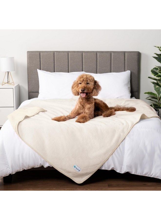 PetAmi PetAmi Waterproof Dog Blanket for Medium Large Dogs, Pee Proof Pet Blanket for Couch Bed, Reversible Water Proof Blanket for Puppy Indoor Cat, Soft Dog Fleece Blankets Washable, 40x60 Beige - Image 4