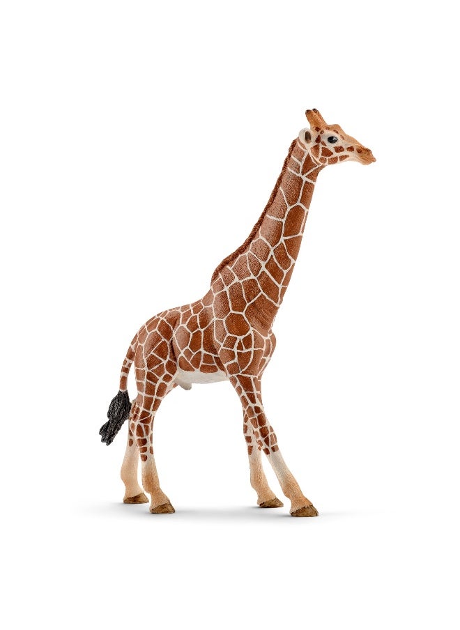 Schleich - Schleich Male Giraffe Figure (Brown) - Image 1