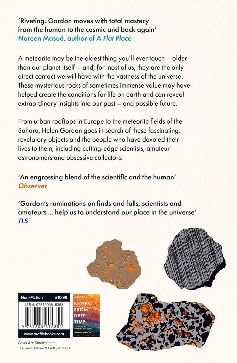 The Meteorites: Encounters with Outer Space and Deep Time - Image 2