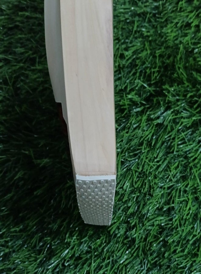 ACMS Kashmiri Willow Cricket Bat Hard Pressed Shaped for Superb Stroke with Bat Light Wait Cover Full Size - Image 5