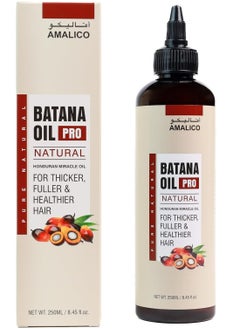 AMALICO Batana Oil Hair Oil 250 ML  - Image 1