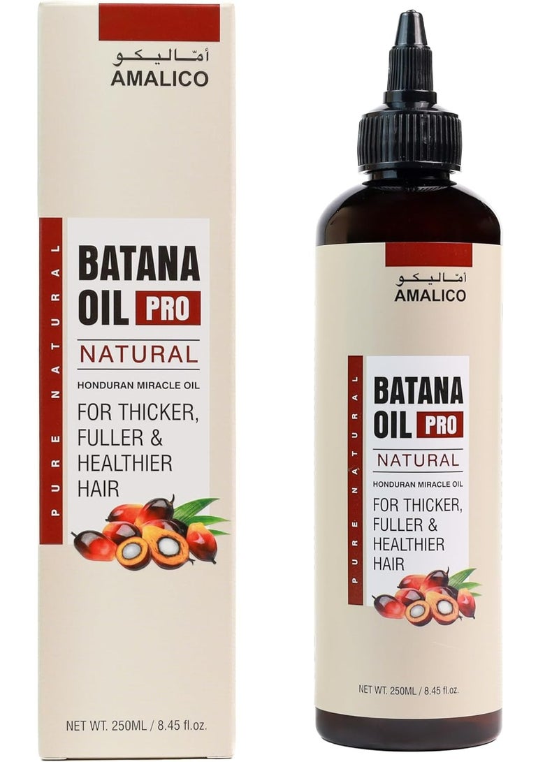AMALICO Batana Oil Hair Oil 250 ML - Image 1