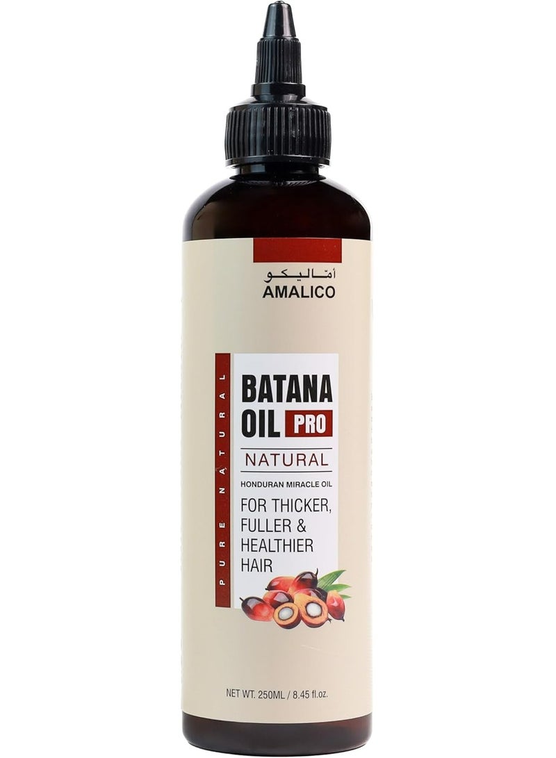 AMALICO Batana Oil Hair Oil 250 ML - Image 4