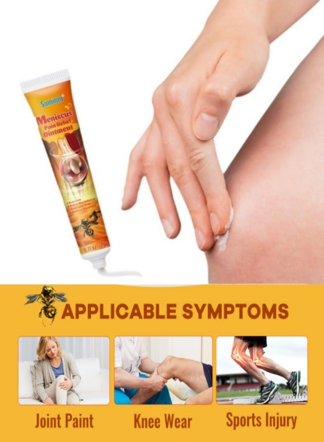 Sumifun （2 Pack） Bee Venom Pain Relief Gel for Joint & Muscle , Fast-Acting Herbal Cream for Neck, Knee, Shoulder, Back, Leg Pain , Arthritis, Sciatica, Stiffness, Inflammation , Cooling Soothe - Image 3