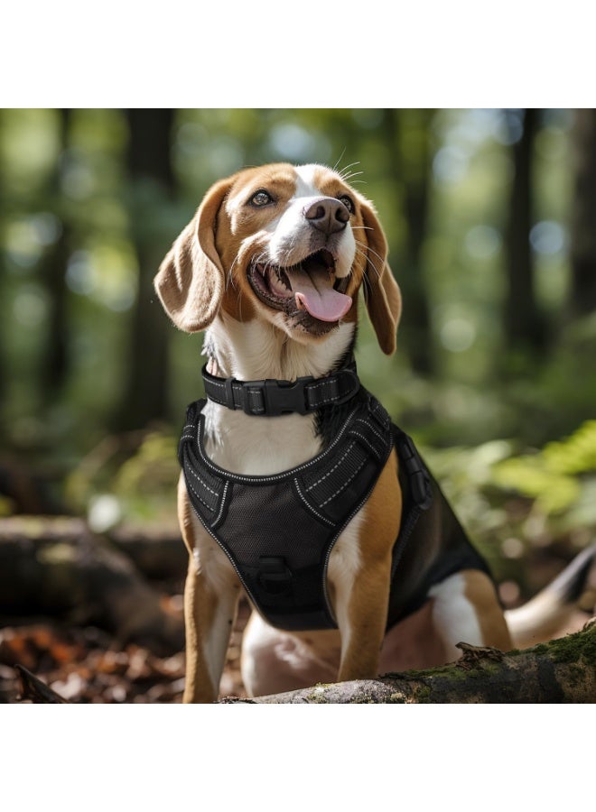 Q TRIPLE A Reflective Dog Collar with Soft Neoprene Padding, Metal D-Ring and Adjustable Length, Premium Nylon Material (Color: Black) - Image 4