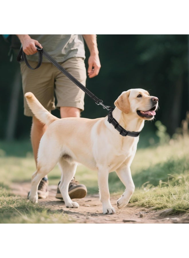Q TRIPLE A Reflective Dog Collar with Soft Neoprene Padding, Metal D-Ring and Adjustable Length, Premium Nylon Material (Color: Black) - Image 5