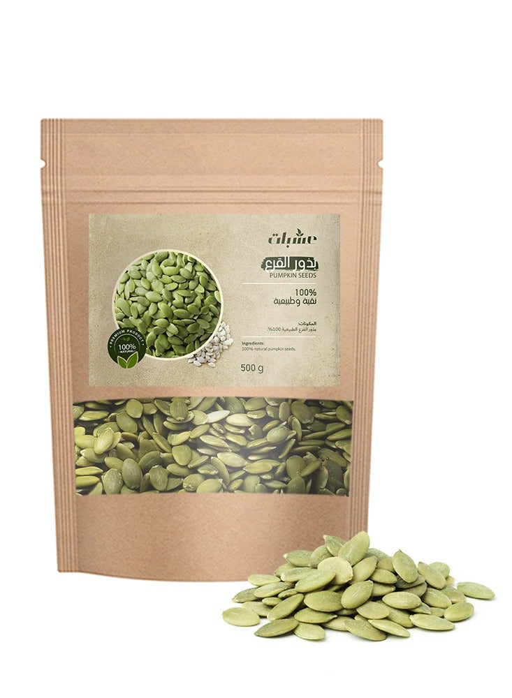 Generic Pumpkin Seeds 500 g  - Image 1