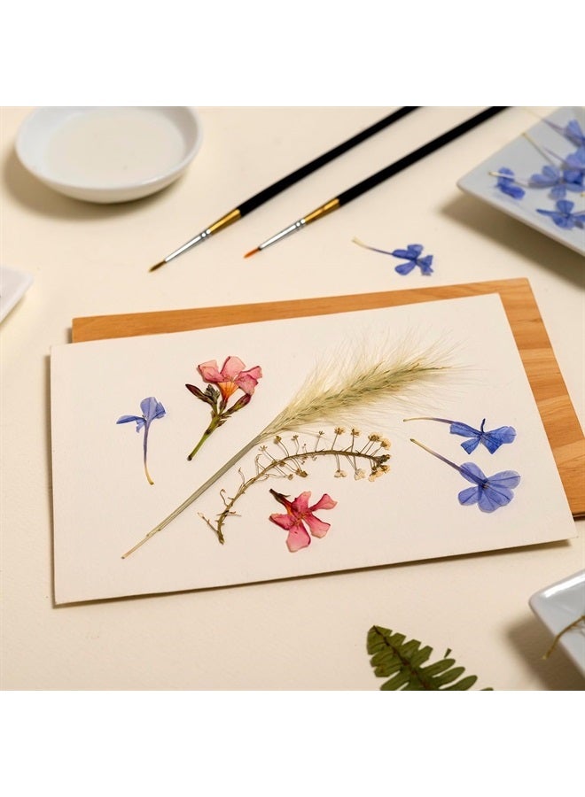 12"x8" Flower Press Paper, 1 Set/30 Sheet Refill Lining Blotter Paper Absorbent Reusable Blotting Paper for DIY Art Handicraft Scrapbook